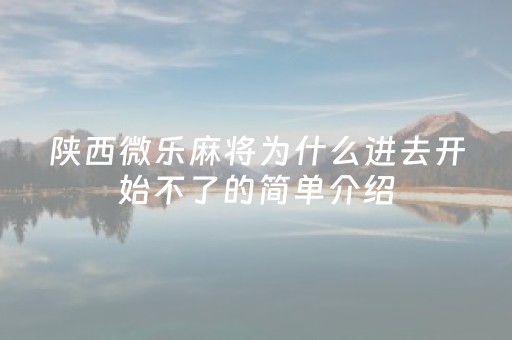 陕西微乐麻将为什么进去开始不了的简单介绍