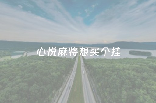 心悦麻将想买个挂（心悦麻将如何上挂）