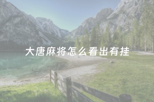 大唐麻将怎么看出有挂（大唐麻将怎么看战绩）
