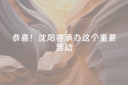 恭喜！沈阳将承办这个重要活动