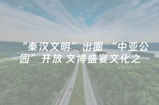 “秦汉文明”出圈 “中亚公园”开放 文博盛宴文化之窗“火”上央媒
