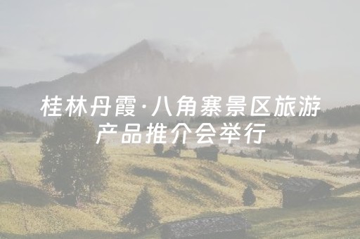 桂林丹霞·八角寨景区旅游产品推介会举行