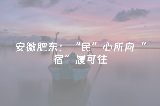 安徽肥东：“民”心所向“宿”履可往