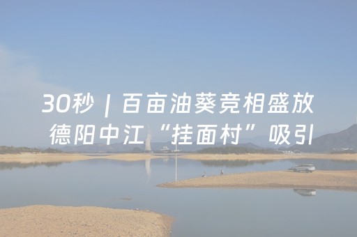 30秒｜百亩油葵竞相盛放 德阳中江“挂面村”吸引众多游客打卡