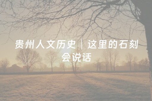 贵州人文历史│这里的石刻会说话