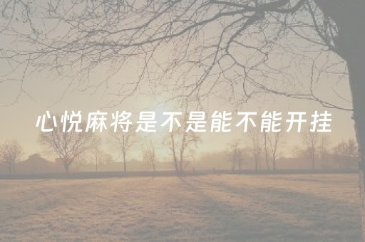 心悦麻将是不是能不能开挂（心悦麻将是不是能不能开挂玩）