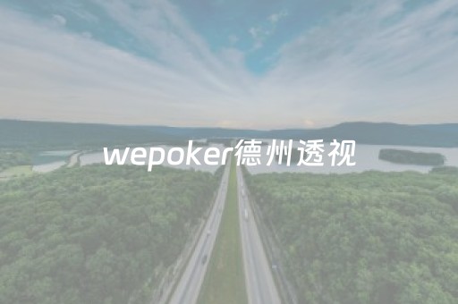 wepoker德州透视（安卓wepoker德州透视挂）
