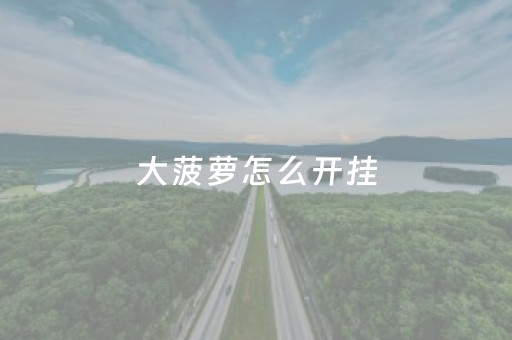 大菠萝怎么开挂（游戏大菠萝怎么玩的）
