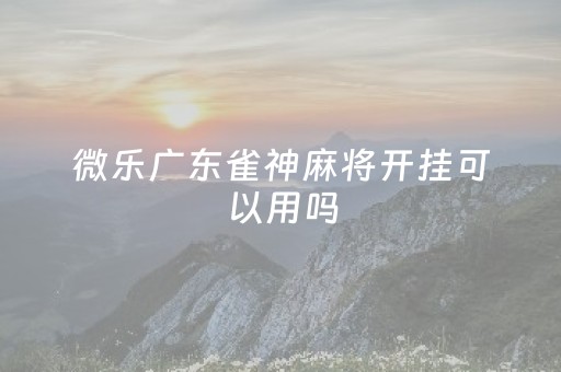 微乐广东雀神麻将开挂可以用吗（微信雀神广东麻将开挂免费）