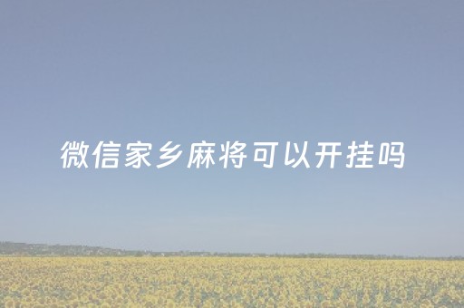 微信家乡麻将可以开挂吗（微信家乡麻将可以开挂吗）