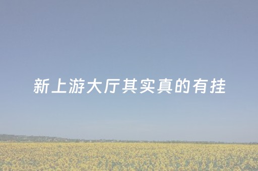 新上游大厅其实真的有挂（新上游大厅其实真的有挂机的吗）
