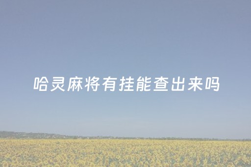 哈灵麻将有挂能查出来吗（哈灵麻将会开挂吗）
