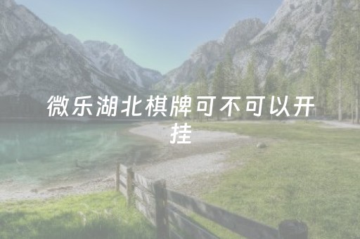 微乐湖北棋牌可不可以开挂（微乐湖北麻将有挂吗）