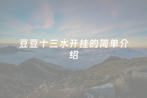 豆豆十三水开挂的简单介绍