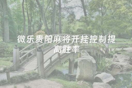 微乐贵阳麻将开挂控制提高胜率（微乐贵阳麻将怎么开挂）