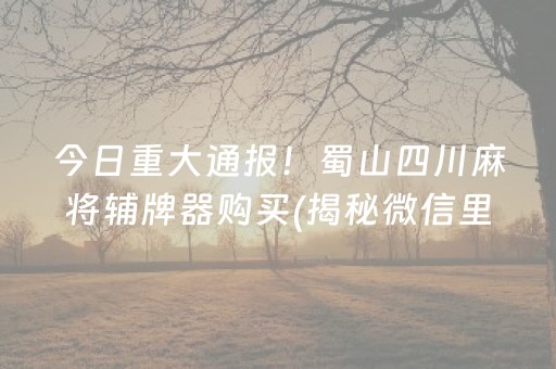 徐州旅游景点（徐州旅游景点攻略一日游路线）