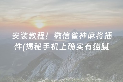 深圳旅游景点排名前十（深圳旅游景点排名前十免费）