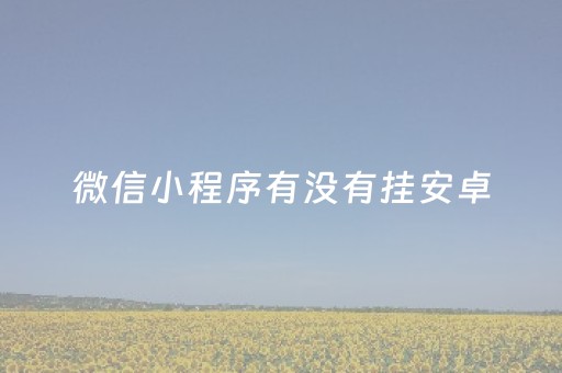 微信小程序有没有挂安卓（微信小程序挂起）