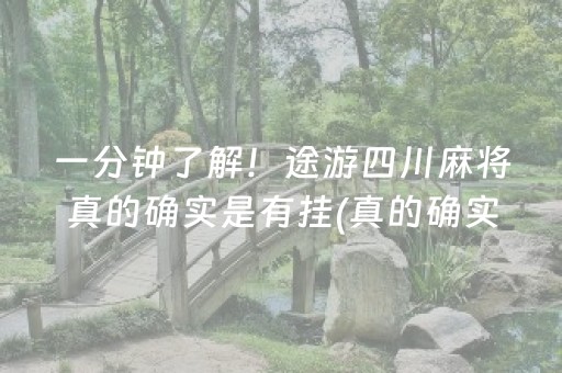 上海地图全图可放大（上海地图全图可放大中国电子地图）
