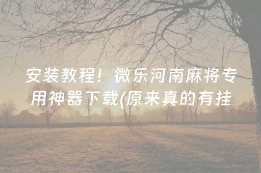 成都峨眉山旅游攻略（成都峨眉山景点）