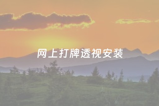 网上打牌透视安装（网上打牌透视安装免费）