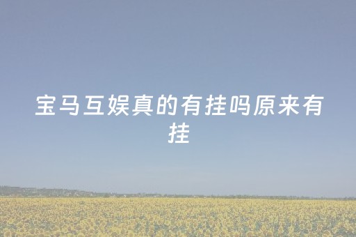 宝马互娱真的有挂吗原来有挂（宝马互娱有开挂吗）