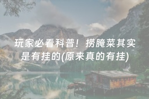 澳门自由行攻略三日（澳门自由行攻略三日行）