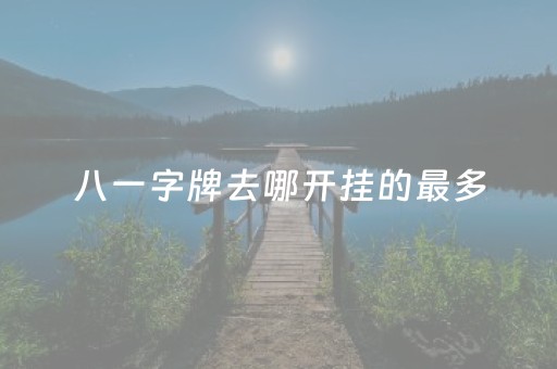 八一字牌去哪开挂的最多（八一字牌去哪开挂的最多啊）