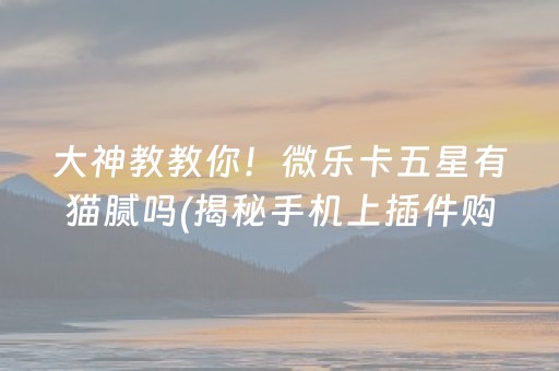 龙门石窟门票（落阳龙门石窟门票）