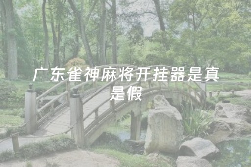 广东雀神麻将开挂器是真是假（广东雀神麻将开挂贴吧）