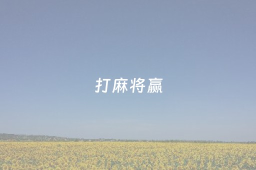 打麻将赢（打麻将有哪些）