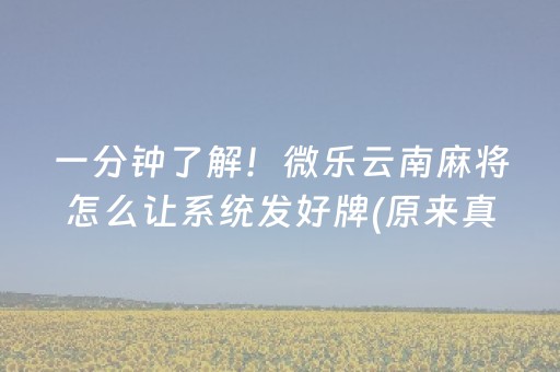 临安大明山滑雪场（临安大明山滑雪场攻略）