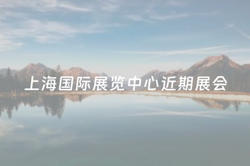 上海国际展览中心近期展会（上海新国际展览中心近期展会介绍）