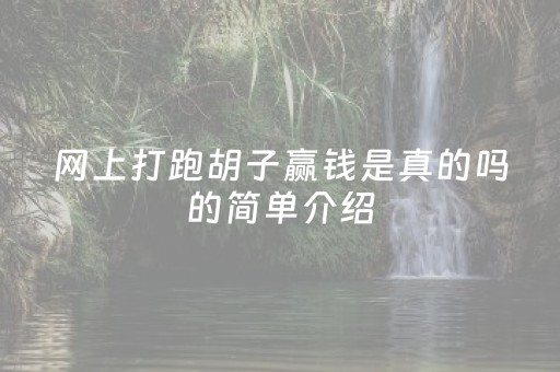 网上打跑胡子赢钱是真的吗的简单介绍（跑胡子哪个最好用）