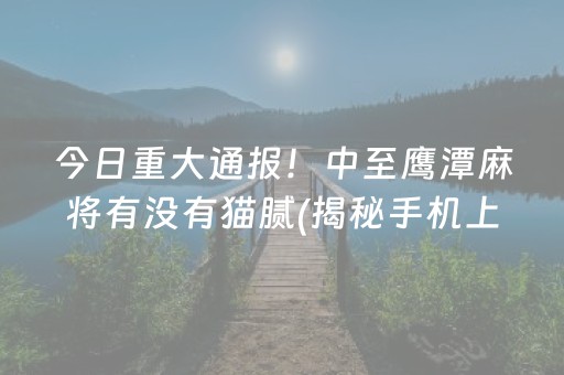 绍兴一日游最佳路线（绍兴一日游最佳路线图）