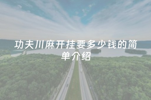 功夫川麻开挂要多少钱的简单介绍