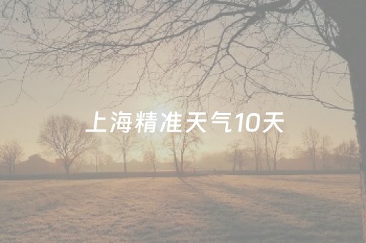 上海精准天气10天（上海精准天气10天浦东新区）