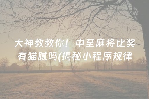 深圳东部华侨城游玩攻略（深圳东部华侨城游玩攻略 适合带宝宝出行）