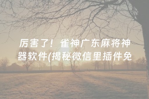 携程网上订票飞机官网（携程网站官网机票）