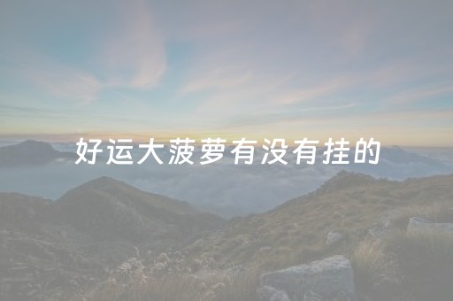 好运大菠萝有没有挂的（好运大菠萝有没有挂的）