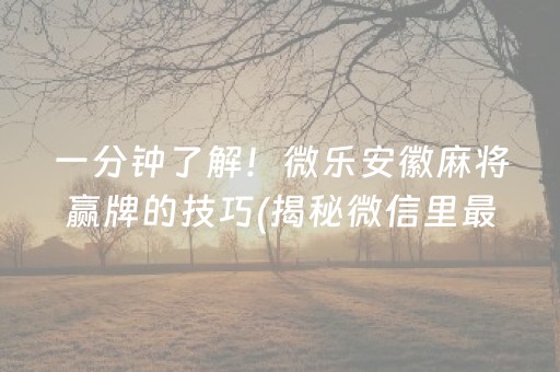 一分钟了解！微乐安徽麻将赢牌的技巧(揭秘微信里最新神器下载)