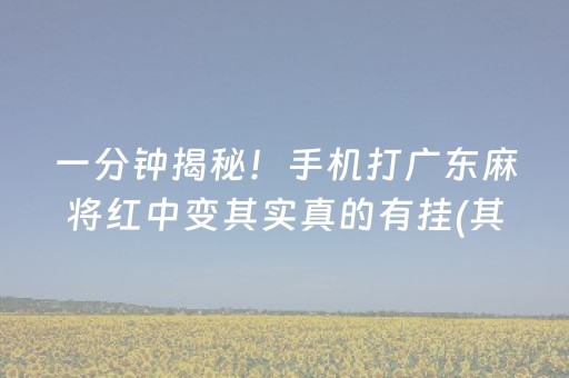 一分钟揭秘！手机打广东麻将红中变其实真的有挂(其实真的有挂)