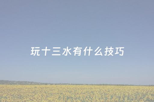 玩十三水有什么技巧（玩十三水有什么技巧和方法）