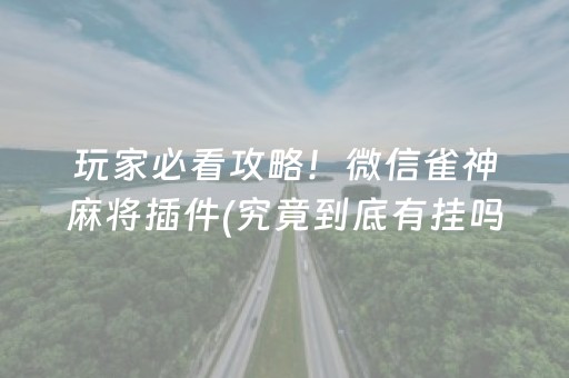玩家必看攻略！微信雀神麻将插件(究竟到底有挂吗)