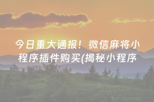 今日重大通报！微信麻将小程序插件购买(揭秘小程序攻略插件)