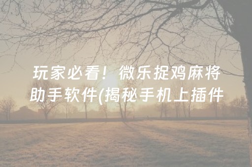 玩家必看！微乐捉鸡麻将助手软件(揭秘手机上插件免费)
