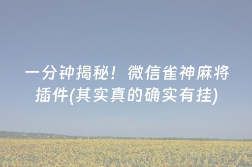 一分钟揭秘！微信雀神麻将插件(其实真的确实有挂)