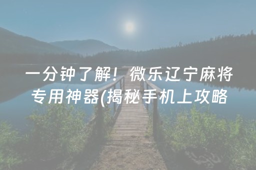 一分钟了解！微乐辽宁麻将专用神器(揭秘手机上攻略插件)