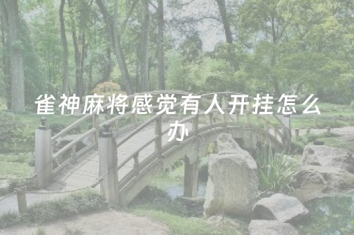雀神麻将感觉有人开挂怎么办（雀神麻将有开挂吗）