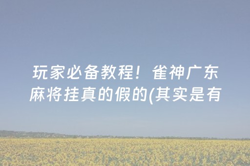 玩家必备教程！雀神广东麻将挂真的假的(其实是有挂确实有挂)